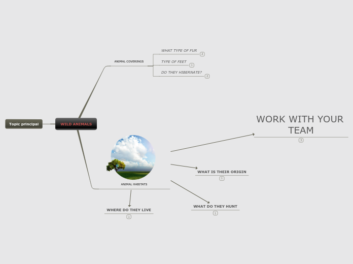 WILD ANIMALS - Mind Map