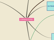 CORSALUD P.E.I - Mapa Mental