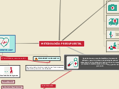 METODOLOGÍA PRESUPUESTAL - Mapa Mental