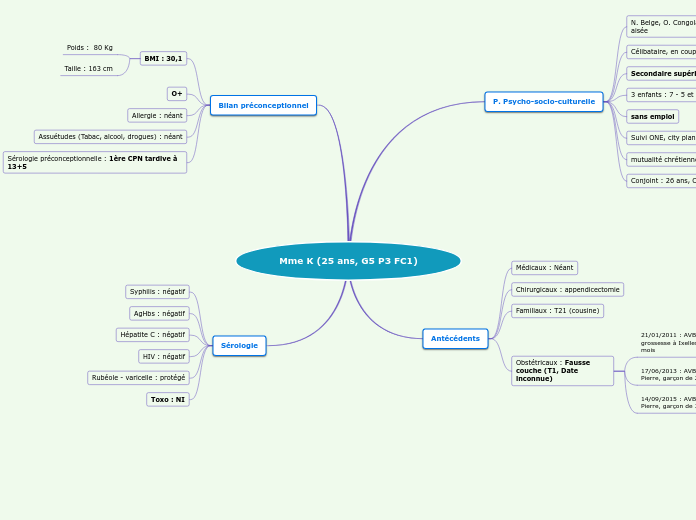 Mme K (25 ans, G5 P3 FC1) - Carte Mentale