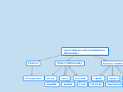 Coral Reef Food Chain Consumers - Mind Map