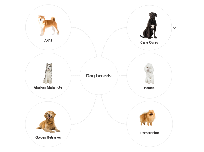 Dog breeds 