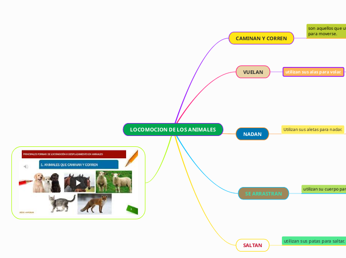 LOCOMOCION DE LOS ANIMALES