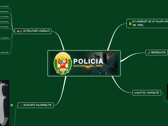 POLICIA NACIONAL DEL PERU 
