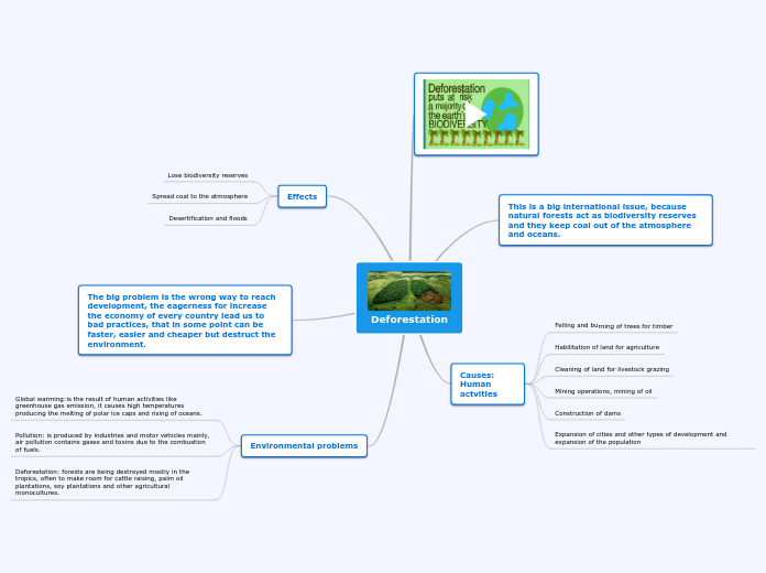Deforestation - Mind Map