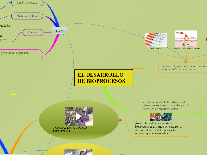EL DESARROLLO DE BIOPROCESOS - Mapa Mental