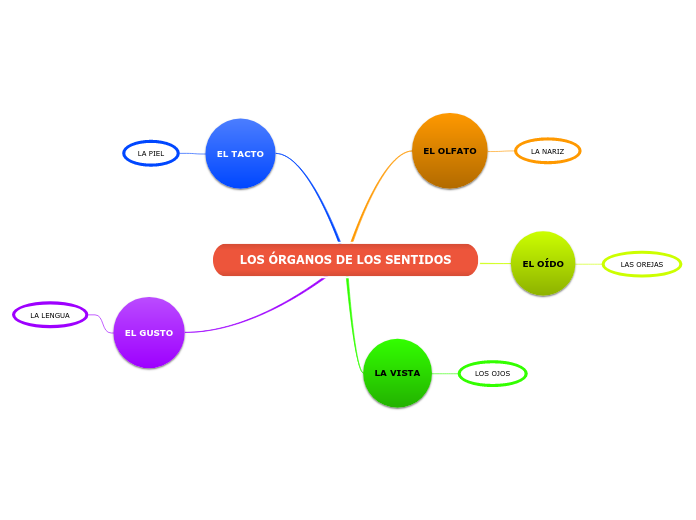 LOS ÓRGANOS DE LOS SENTIDOS - Mindmap