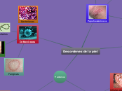 Desordenes de la piel - Mapa Mental