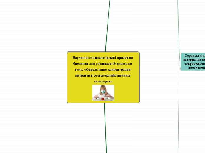Научно-исследовательский проект ...- Мыслительная карта