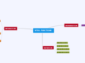 VITAL FUNCTIONS - Mind Map