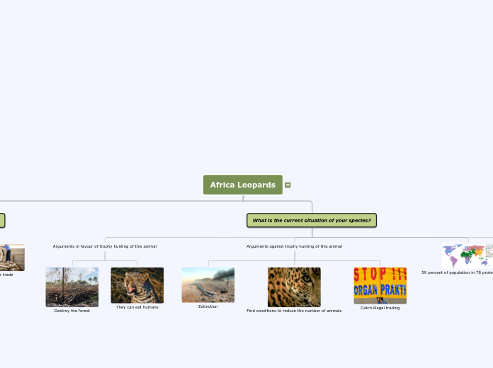 Africa Leopards - Mind Map