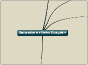 Succession in a Marine Ecosystem - Mind Map