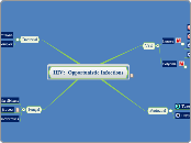 HIV:  Opportunistic Infections - Mind Map