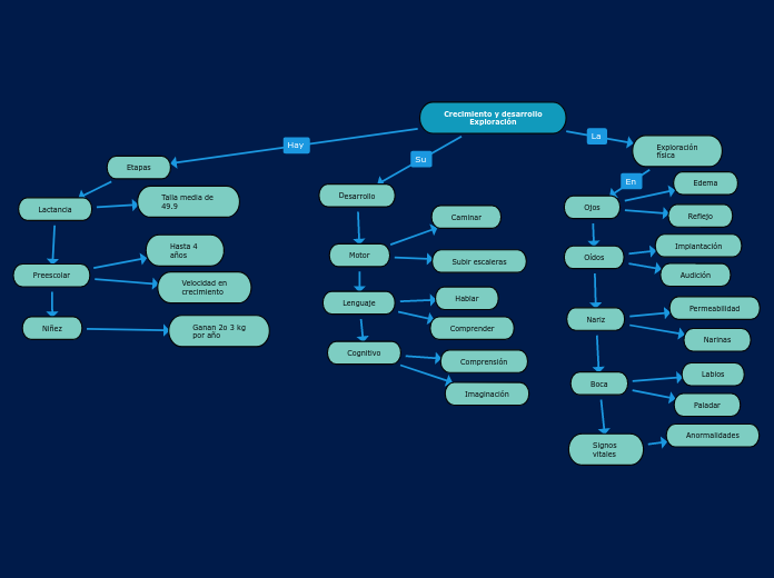 Crecimiento y desarrollo
Exploración - Mapa Mental