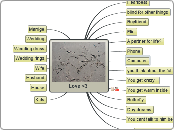 Love &lt;3 - Mind Map