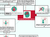 Competencias ciudadanas - Mapa Mental