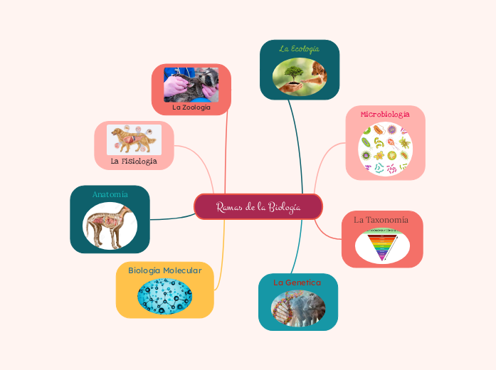 Ramas de la Biología - Mapa Mental