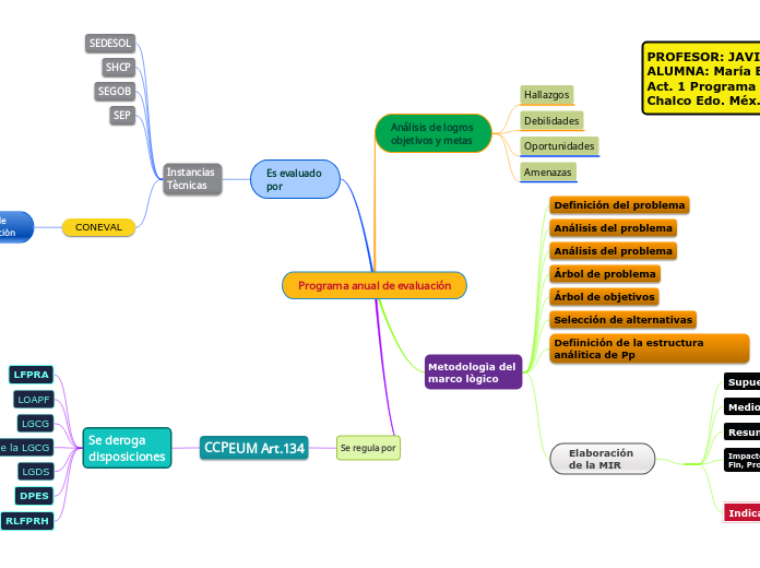 Programa anual de evaluación - Mapa Mental