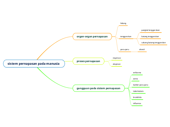 sistem pernapasan pada manusia  - Mind Map