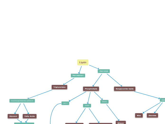 Lipids - Mind Map