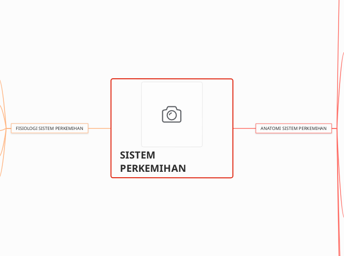 SISTEM PERKEMIHAN