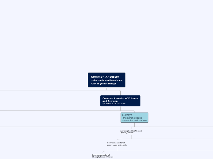 Common Ancestor
-ester bonds in cell membr...- Mind Map