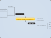 Microbial Habitat -Hydrospehere- - Mind Map