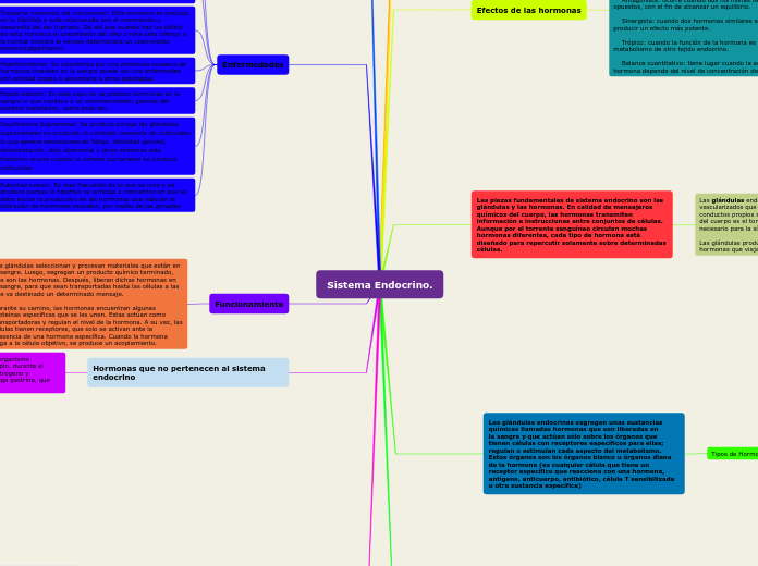 Sistema Endocrino.