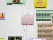 สุขภาพ  HEALTH - Mind Map