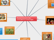 Nuevas formas de retos culturales de la...- Mapa Mental