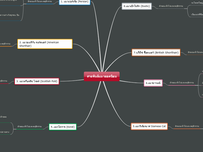 สายพันธ์แมวยอดนิยม - Mind Map