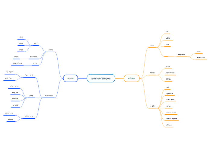 מיקרואורגניזמים - Mind Map