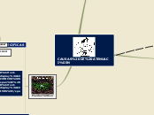 CAUSAS DE ATENUACIÓN - Mapa Mental