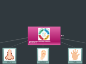 Sentidos Exteroceptores en Mercadeo - Mapa Mental