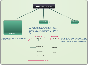 Las funciones vitales - Mapa Mental