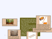 PROCESO DE LAPIZ - Mapa Mental