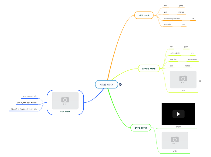 תזונה נבונה - Mind Map