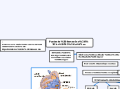 Paciente femenino 
82 años - Mapa Mental