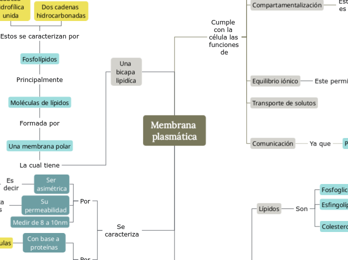 Membrana plasmática - Mapa Mental