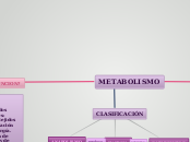 LAS PERSONAS COMO CENTRO DE LAS POLITIC...- Mapa Mental