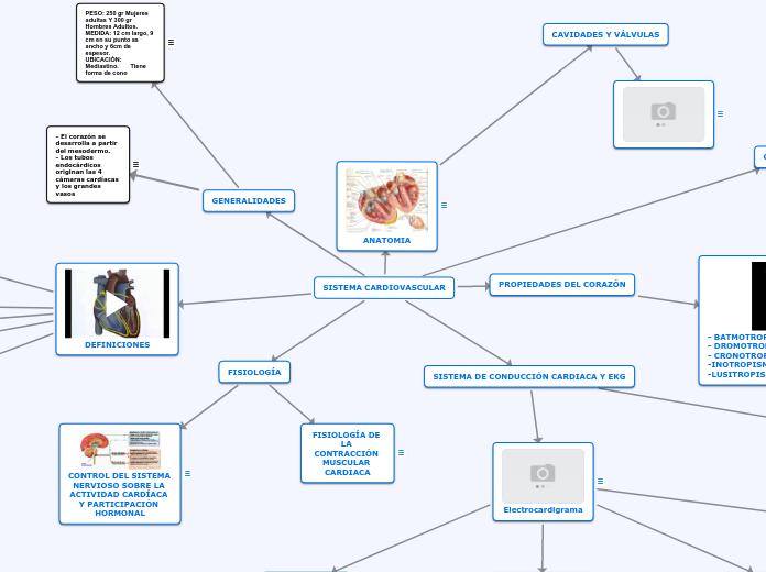 SISTEMA CARDIOVASCULAR - Mapa Mental