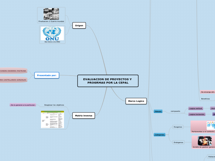 EVALUACION DE PROYECTOS Y PROGRMAS POR ...- Mapa Mental