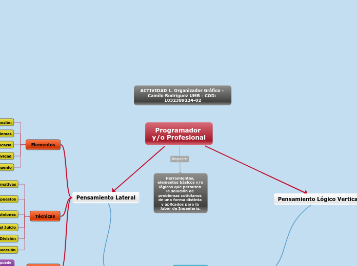 Programador y/o Profesional - Mapa Mental