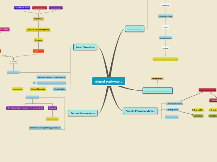 Signal Pathway's - Mind Map