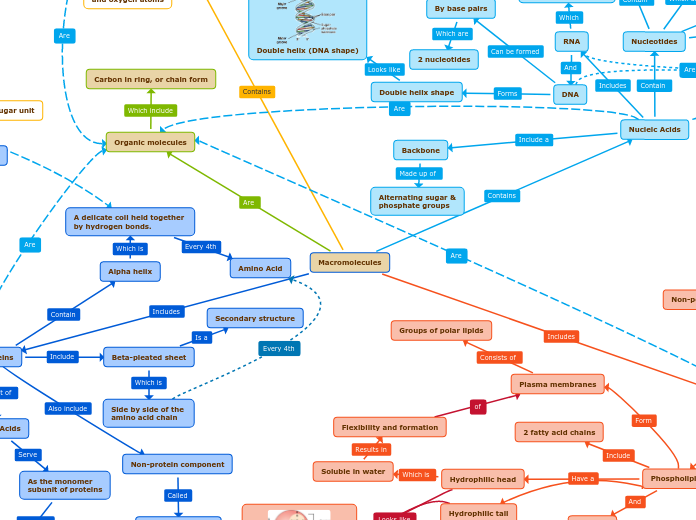 Macromolecules - Mind Map