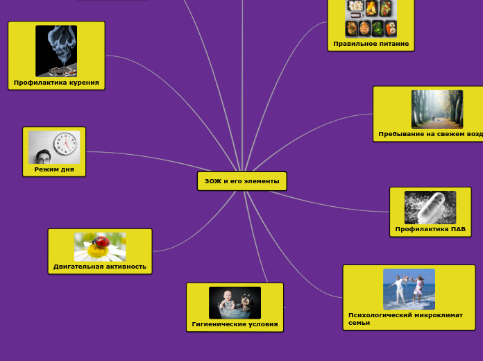 ЗОЖ и его элементы - Мыслительная карта