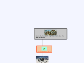 Our First Peoples
The Story of Creativity - Mind Map