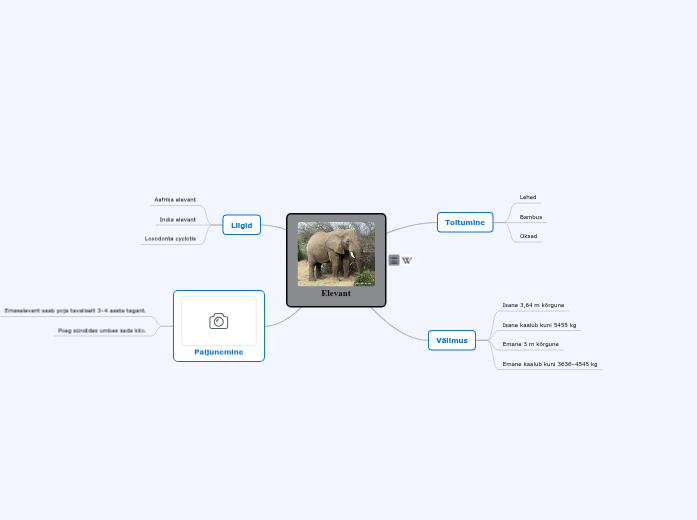 Elevant - Mind Map