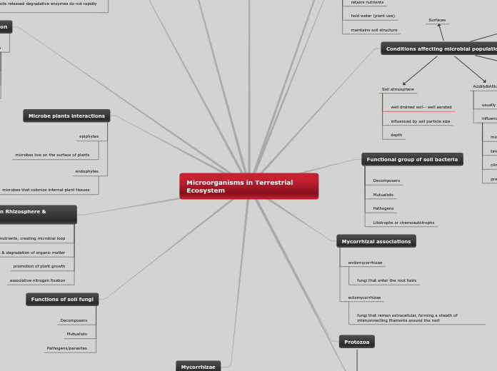 Microorganisms in Terrestrial Ecosystem - Mind Map