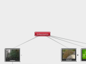 Golosemenice - Mind Map